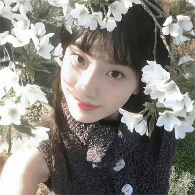 兔子暴力